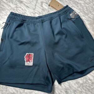 Nike Dri-FIT ADV A.P.S. Men's 6" Unlined Versatile Shorts DX0366-454 Size XL